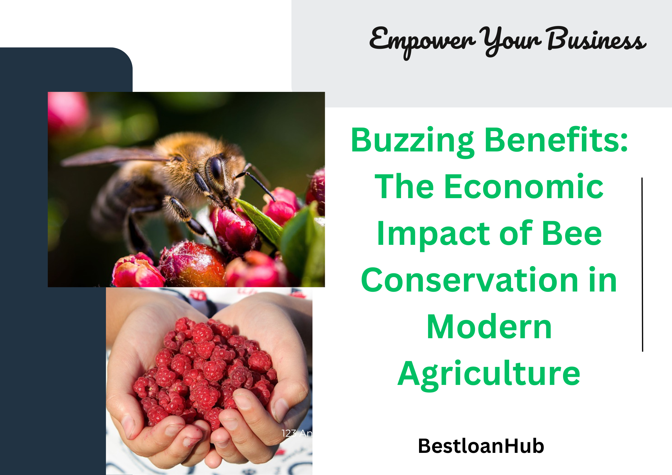 Buzzing Benefits: The Economic Impact of Bee Conservation in Modern Agriculture