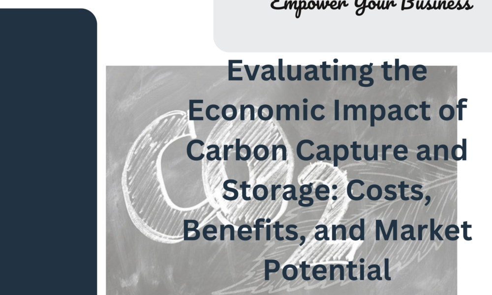 Evaluating the Economic Impact of Carbon Capture and Storage: Costs, Benefits, and Market Potential