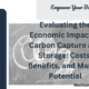 Evaluating the Economic Impact of Carbon Capture and Storage: Costs, Benefits, and Market Potential