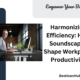 Harmonizing Efficiency: How Soundscapes Shape Workplace Productivity