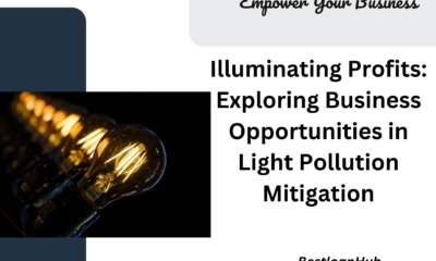 Illuminating Profits: Exploring Business Opportunities in Light Pollution Mitigation