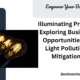 Illuminating Profits: Exploring Business Opportunities in Light Pollution Mitigation