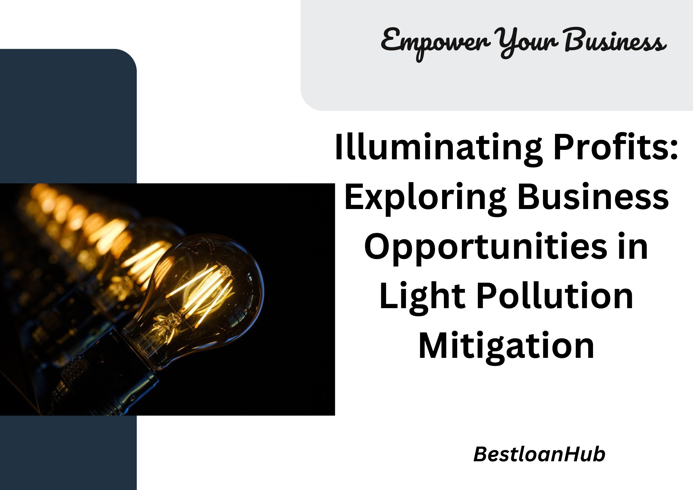 Illuminating Profits: Exploring Business Opportunities in Light Pollution Mitigation