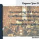 Illuminating the Future: How Bioluminescence is Transforming Sustainable LightingIlluminating the Future: How Bioluminescence is Transforming Sustainable Lighting