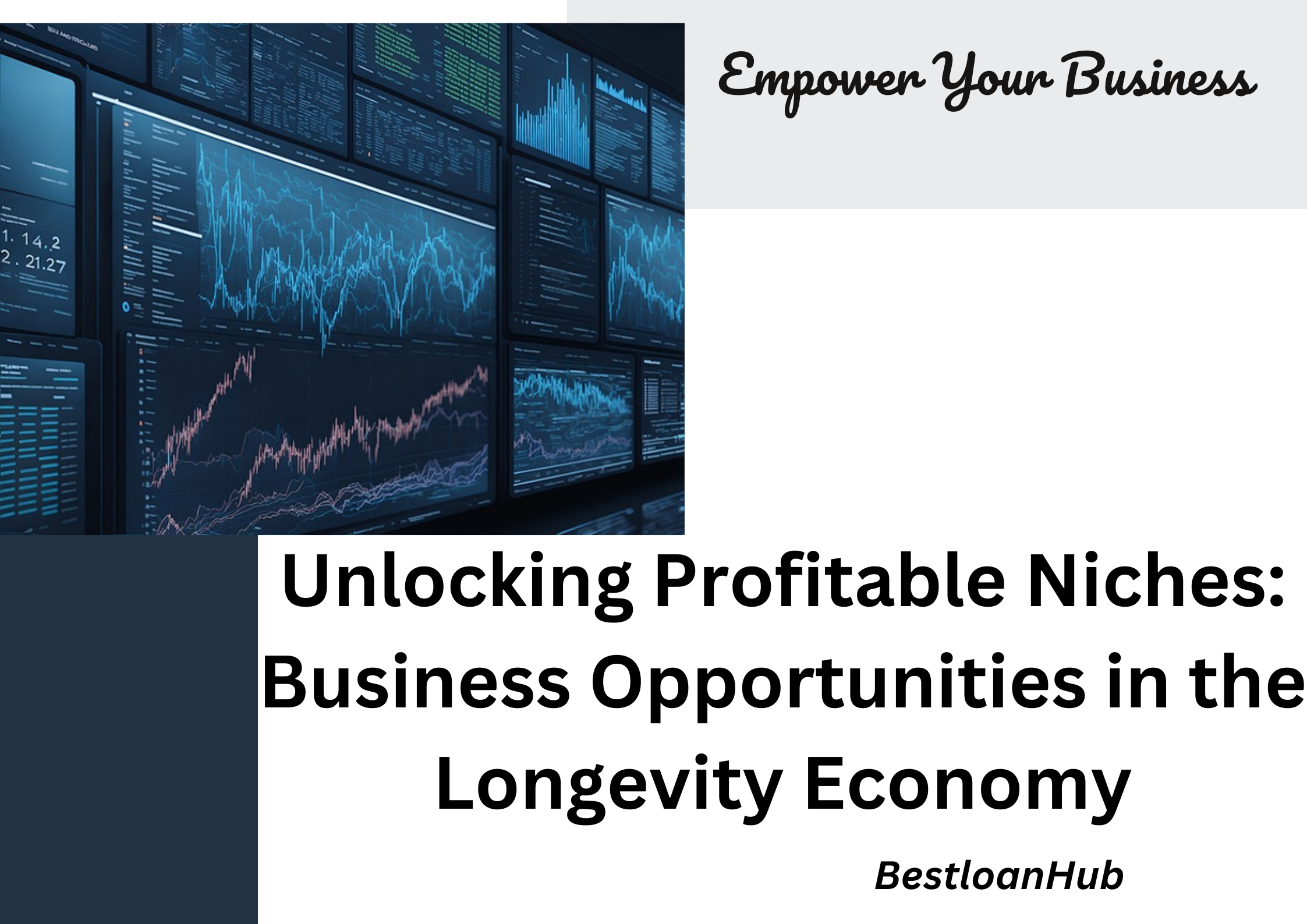 Unlocking Profitable Niches: Business Opportunities in the Longevity Economy