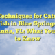 Top Techniques for Catching Fish in Blue Springs, Marianna, FL: What You Need to Know