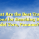 What Are the Best Travel Options for Reaching Bocas del Toro, Panama?