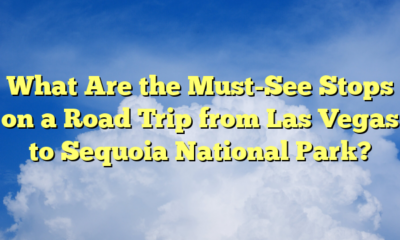 What Are the Must-See Stops on a Road Trip from Las Vegas to Sequoia National Park?