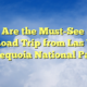 What Are the Must-See Stops on a Road Trip from Las Vegas to Sequoia National Park?