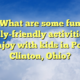 What are some fun family-friendly activities to enjoy with kids in Port Clinton, Ohio?