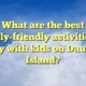 What are the best family-friendly activities to enjoy with kids on Dauphin Island?